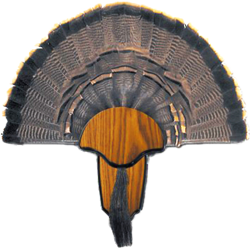 HS STRUT MOUNTING KIT TURKEY - TAIL & BEARD