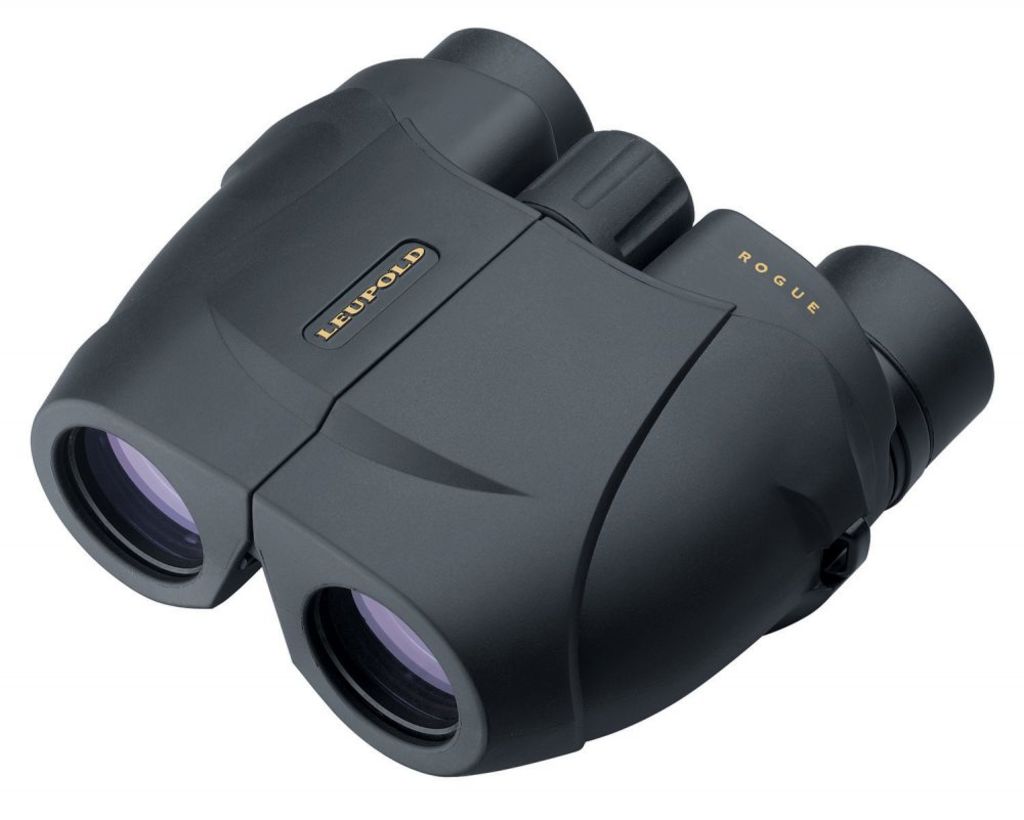 LEU BINO ROGUE COMP 8X25 BLK
