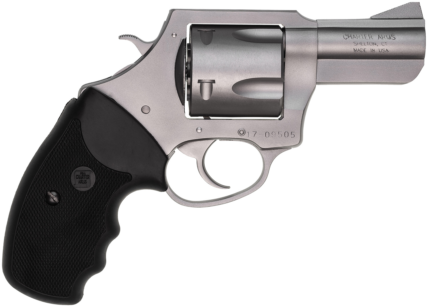 CHARTER ARMS CHARTER PITBULL 45ACP SS 2.5"