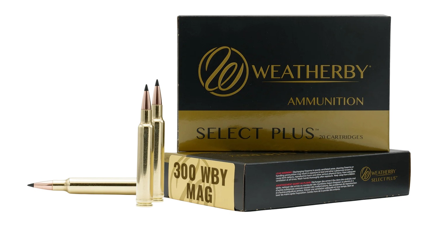 WEATHERBY 300WBY 180GR BARNES TTSX