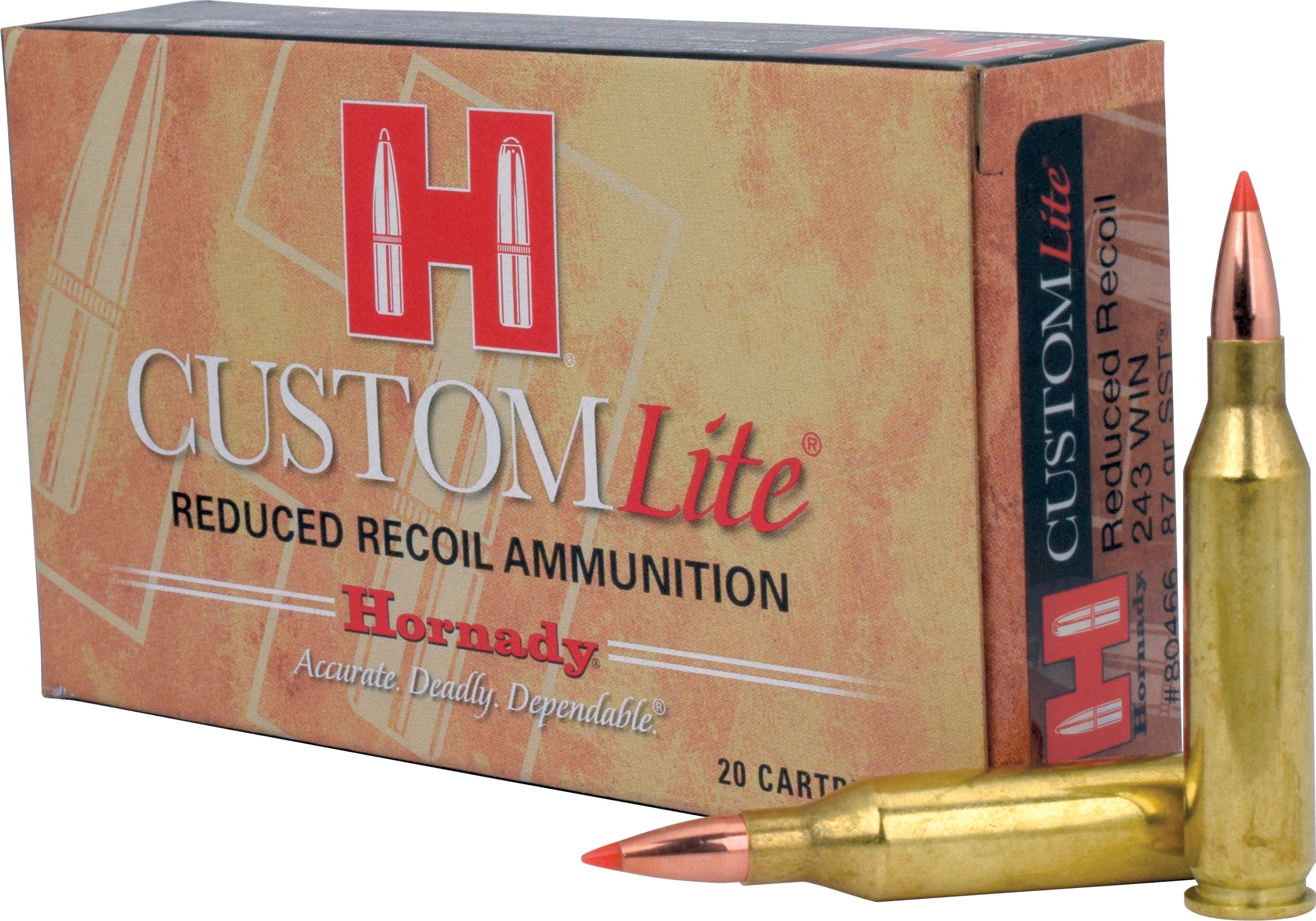 HRN 243 87GR CUSTLITE SST 20RD