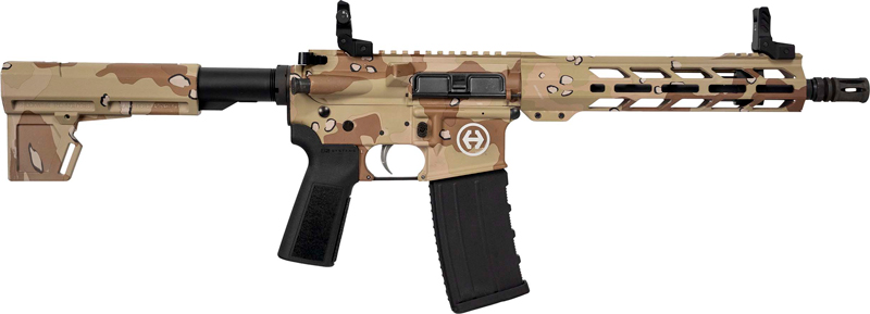 HIPOINT PISTOL HP-15 5.56 - 10.5" 30RD BLADE BRACE STORM