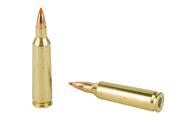 NOSLER 22-250 55GR BT 20/200 - Image 4