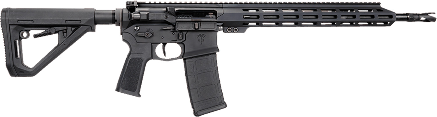 CAI US PALM STORM CAT4 5.56 30